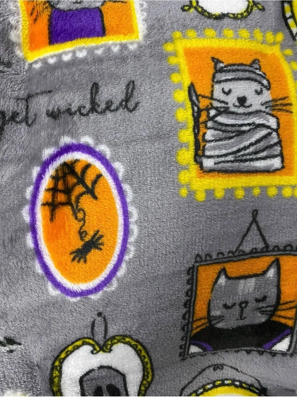 Way to Celebrate Framed Halloween Characters Velvet Plush Throw. 50” By 60”.